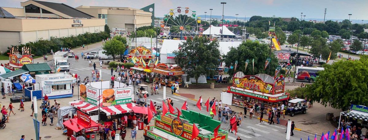 Visiting The Fair Image