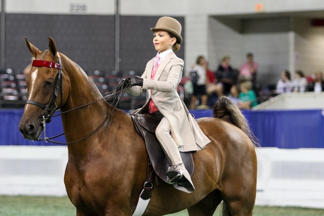 2020 World's Championship Horse Show FAQ Kentucky State Fair