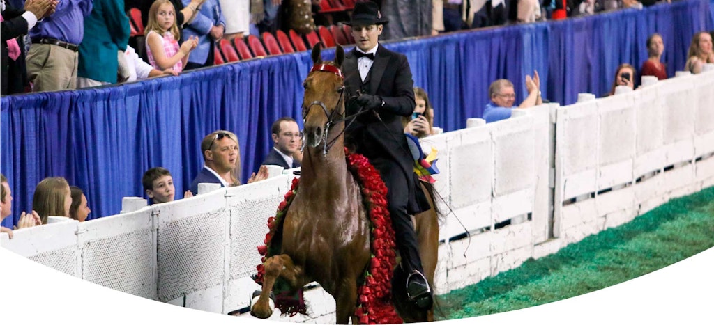 World S Championship Horse Show Announces Additional Prize Money Kentucky State Fair Ky World Championship Horse Show 2022 Prize List
