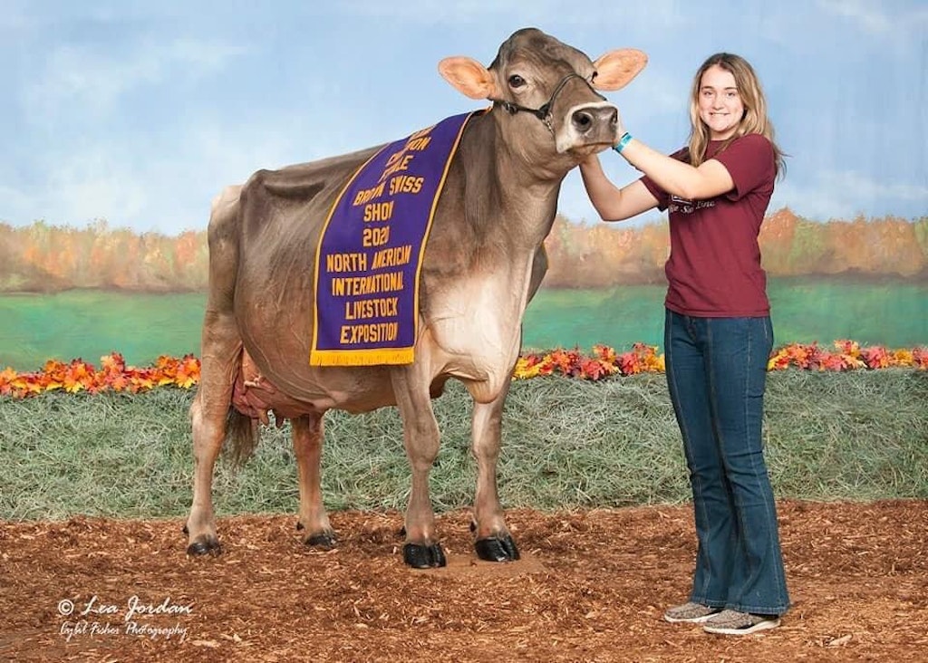 Emily Goode stands with her Brown Swiss Cow, which is draped in a banner from the North American International Livestock Exposition