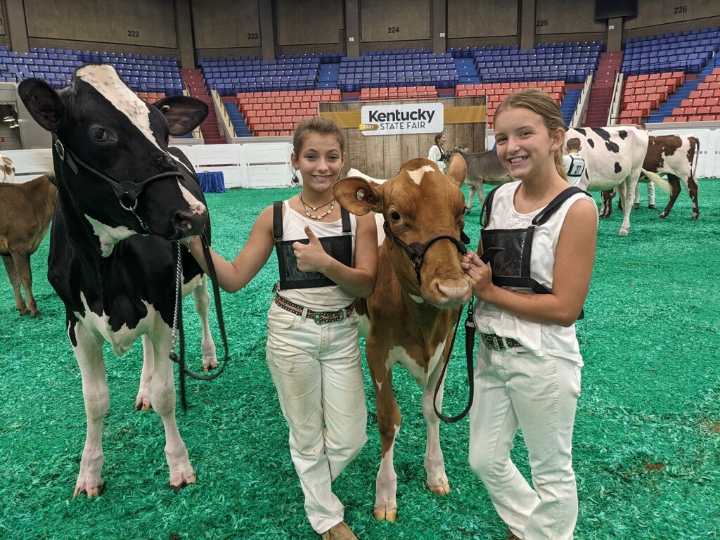 Kentucky Dairy Farmer Lizzy Turner showing her cow at the Kentucky State Fair